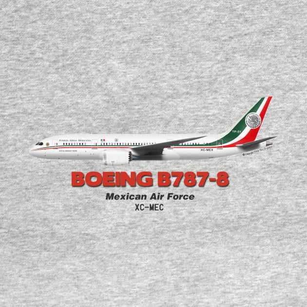 Boeing B787-8 - Mexican Air Force by TheArtofFlying